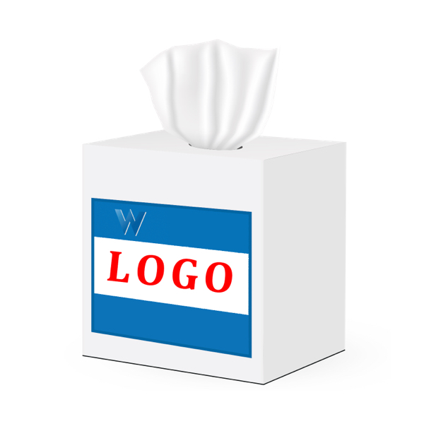 Customized Packaging+Logo 3